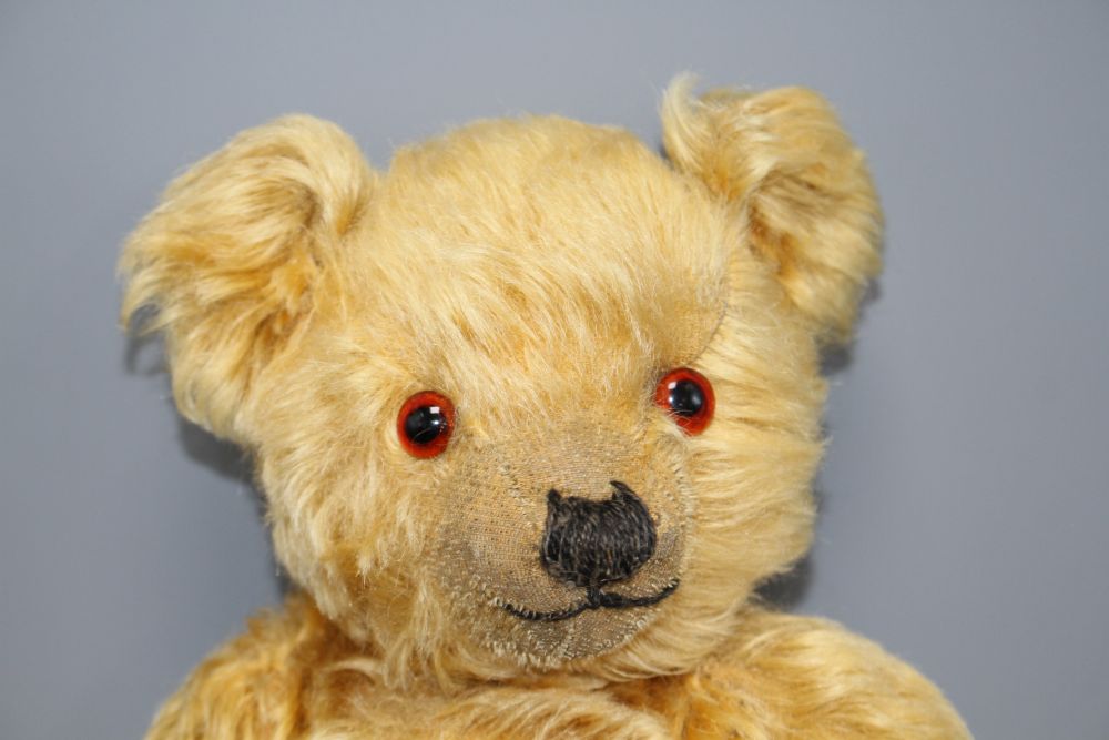 A Chiltern bear, c.1930s, 16in., velvet pads, glass eyes and thick golden mohair